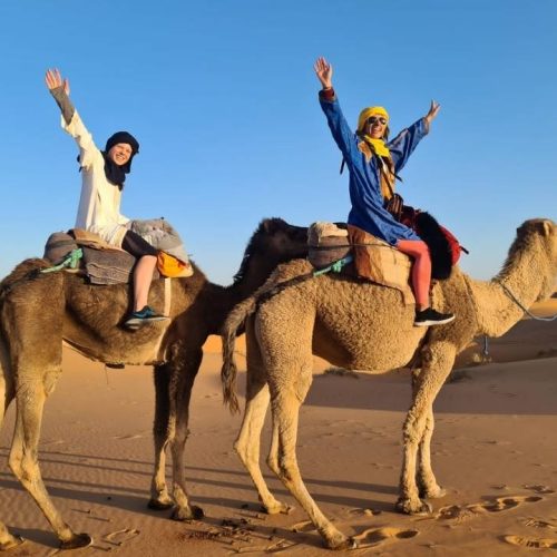 New Year Package With Desert Safari Tour